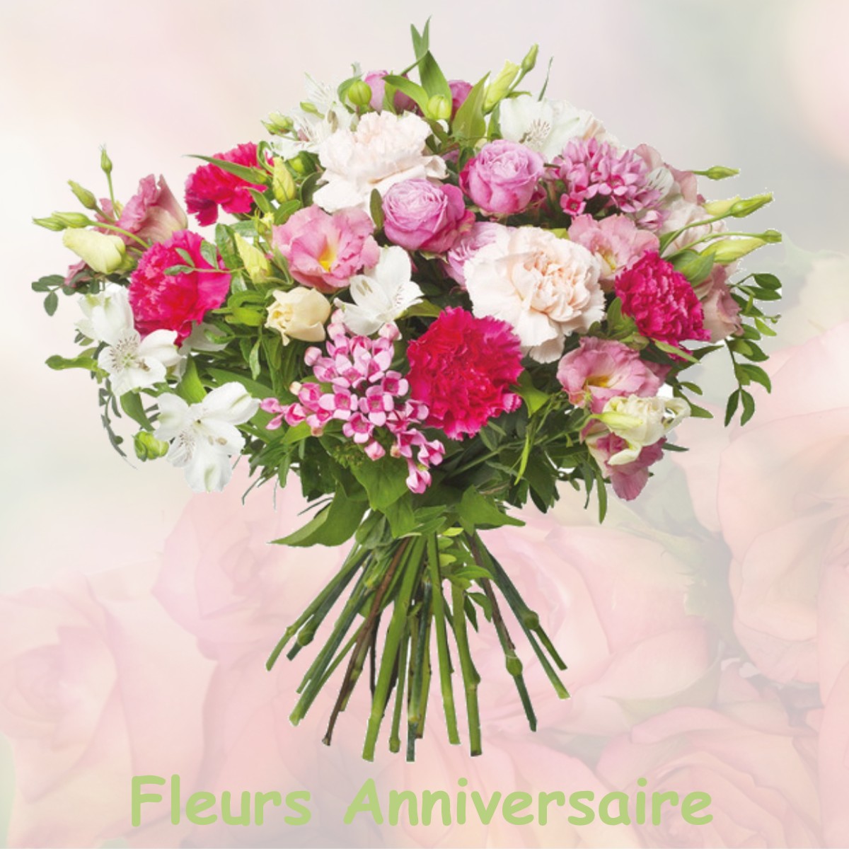 fleurs anniversaire FLEURANCE
